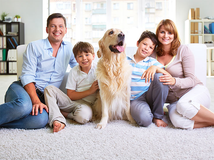 Rug Cleaning Family, Kid & Pet Friendly